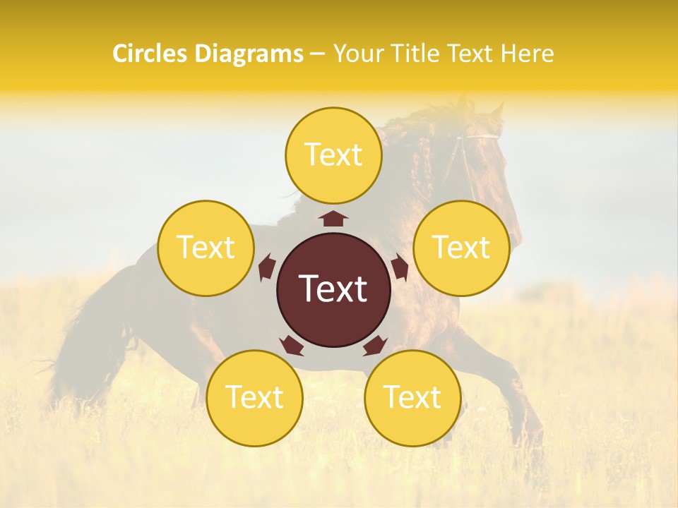 Beautiful Horse PowerPoint Template