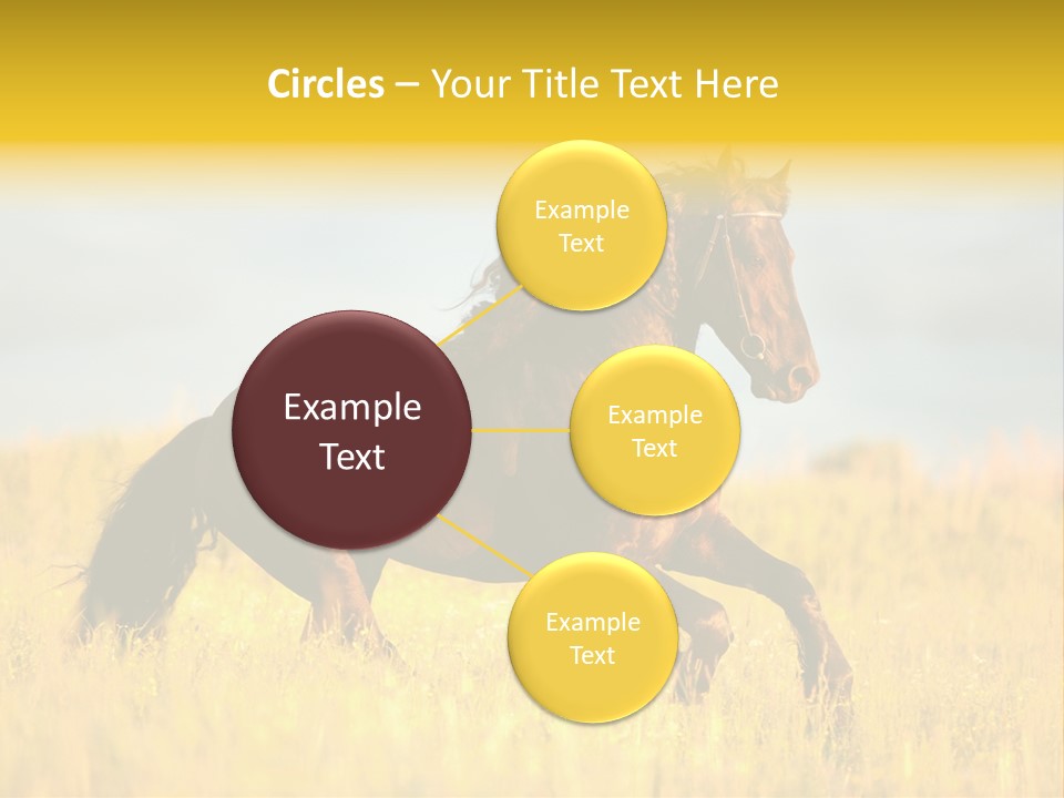 Beautiful Horse PowerPoint Template