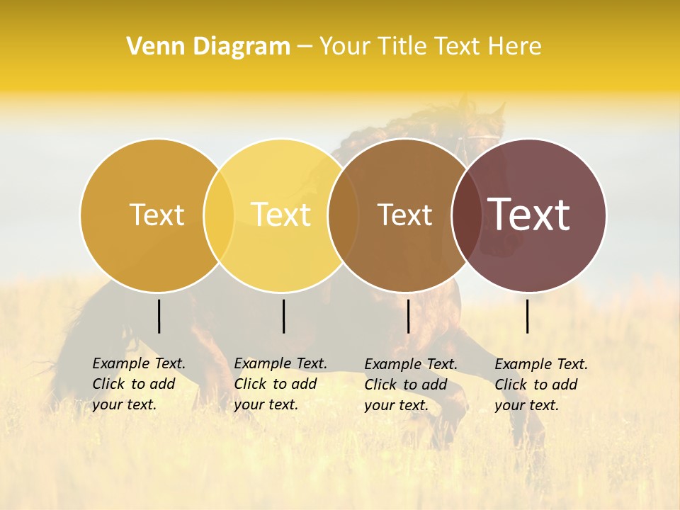 Beautiful Horse PowerPoint Template