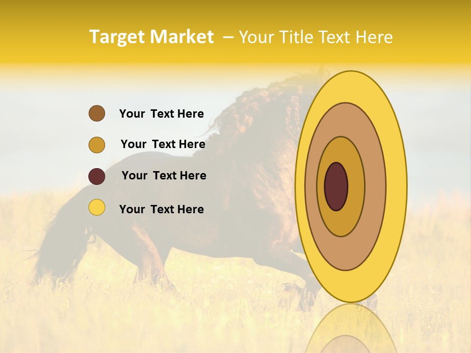 Beautiful Horse PowerPoint Template