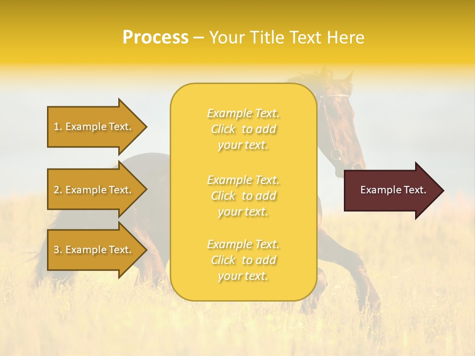 Beautiful Horse PowerPoint Template