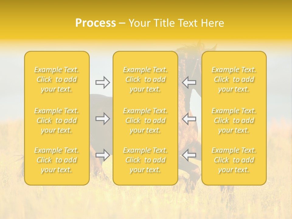 Beautiful Horse PowerPoint Template