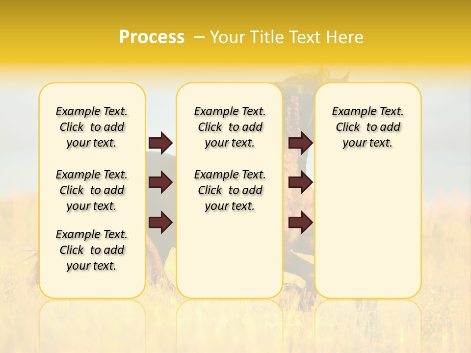 Beautiful Horse PowerPoint Template
