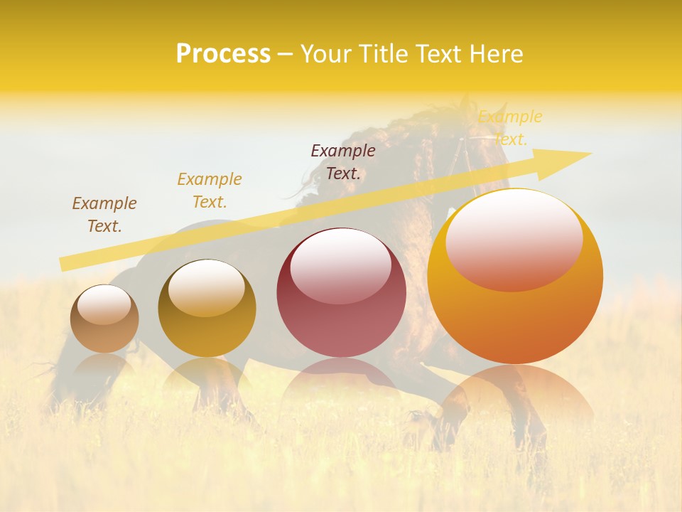 Beautiful Horse PowerPoint Template