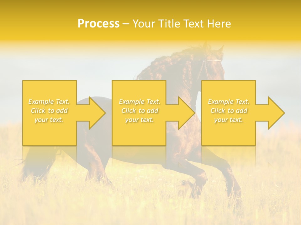 Beautiful Horse PowerPoint Template