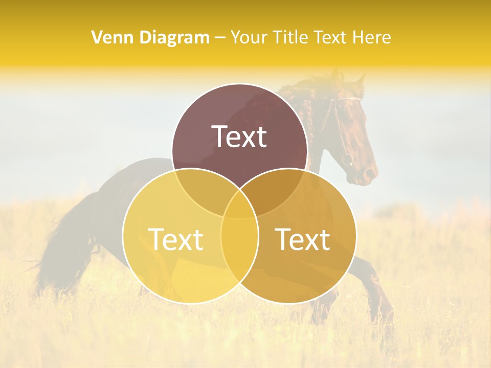 Beautiful Horse PowerPoint Template