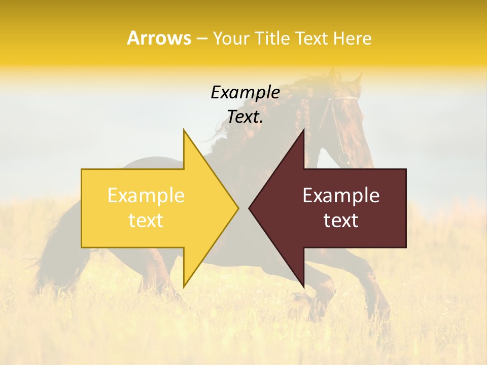 Beautiful Horse PowerPoint Template