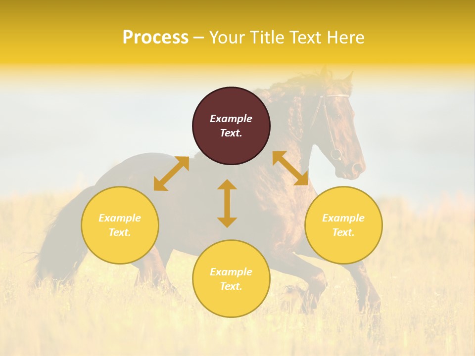 Beautiful Horse PowerPoint Template