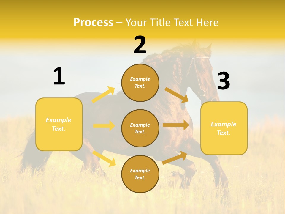 Beautiful Horse PowerPoint Template