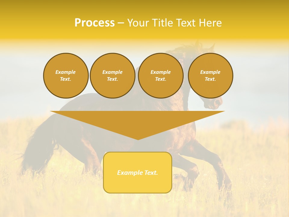 Beautiful Horse PowerPoint Template