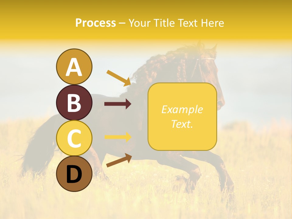 Beautiful Horse PowerPoint Template