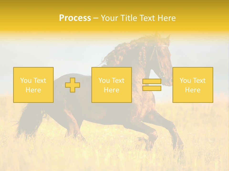 Beautiful Horse PowerPoint Template