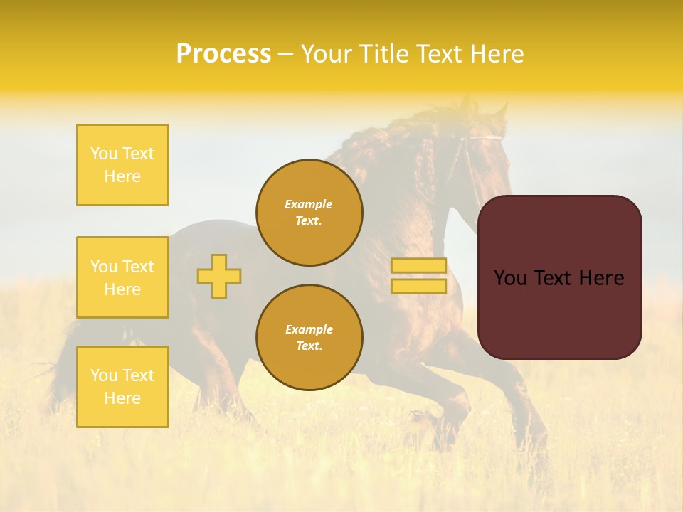 Beautiful Horse PowerPoint Template