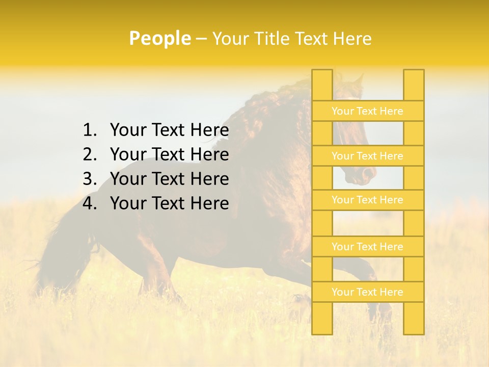 Beautiful Horse PowerPoint Template