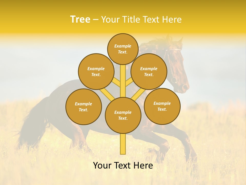 Beautiful Horse PowerPoint Template