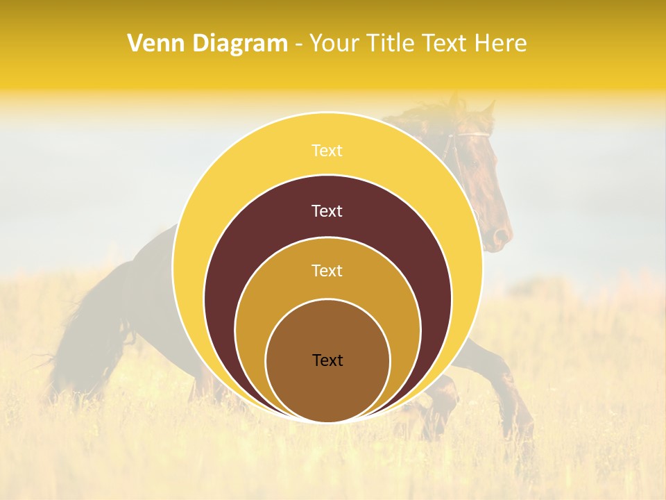 Beautiful Horse PowerPoint Template