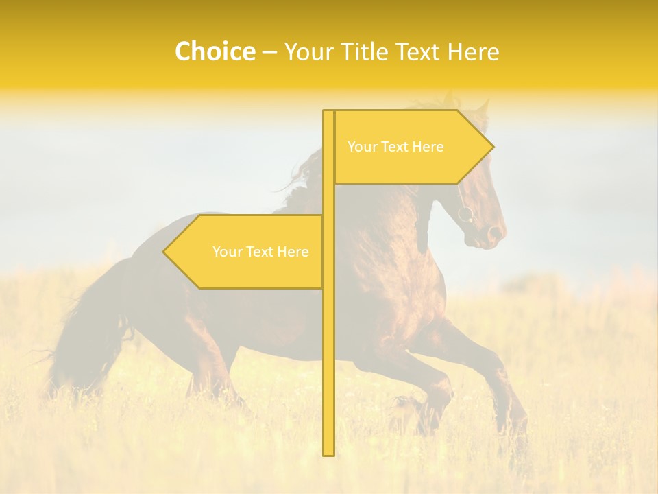 Beautiful Horse PowerPoint Template