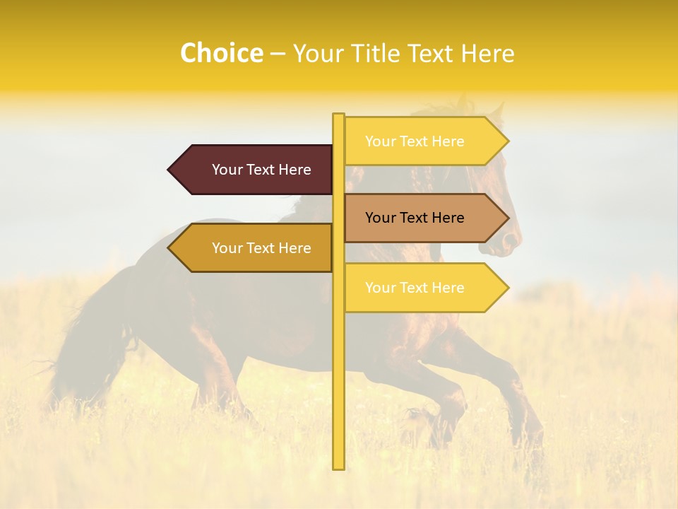 Beautiful Horse PowerPoint Template
