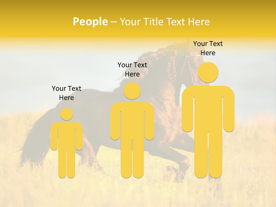 Beautiful Horse PowerPoint Template