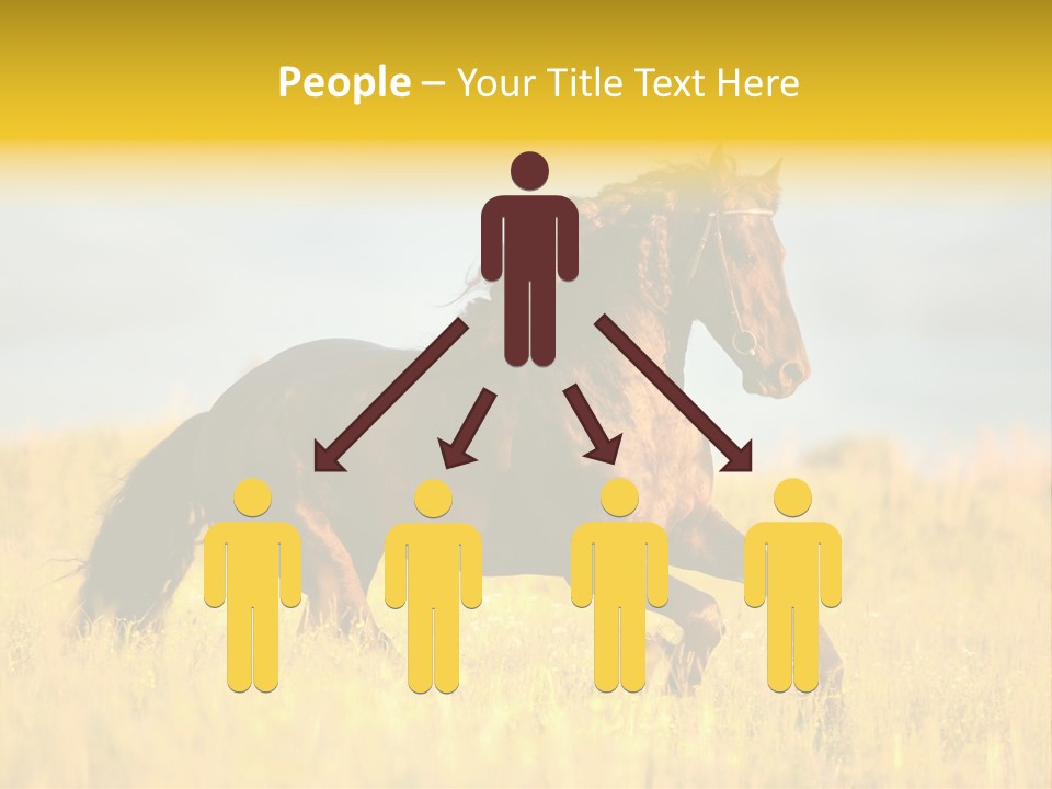 Beautiful Horse PowerPoint Template