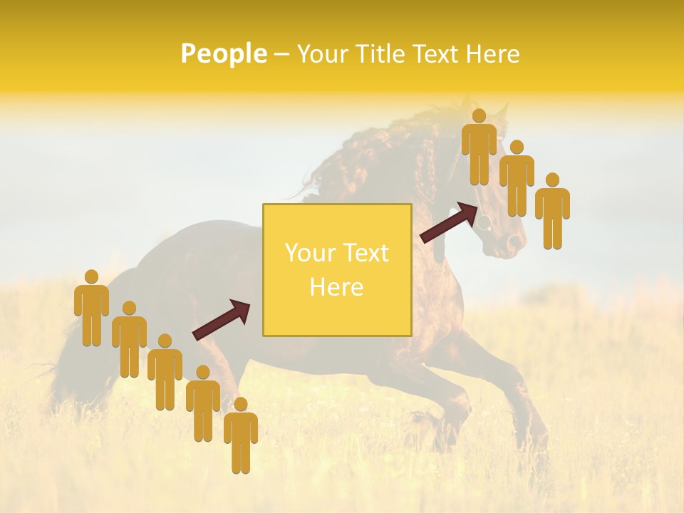 Beautiful Horse PowerPoint Template