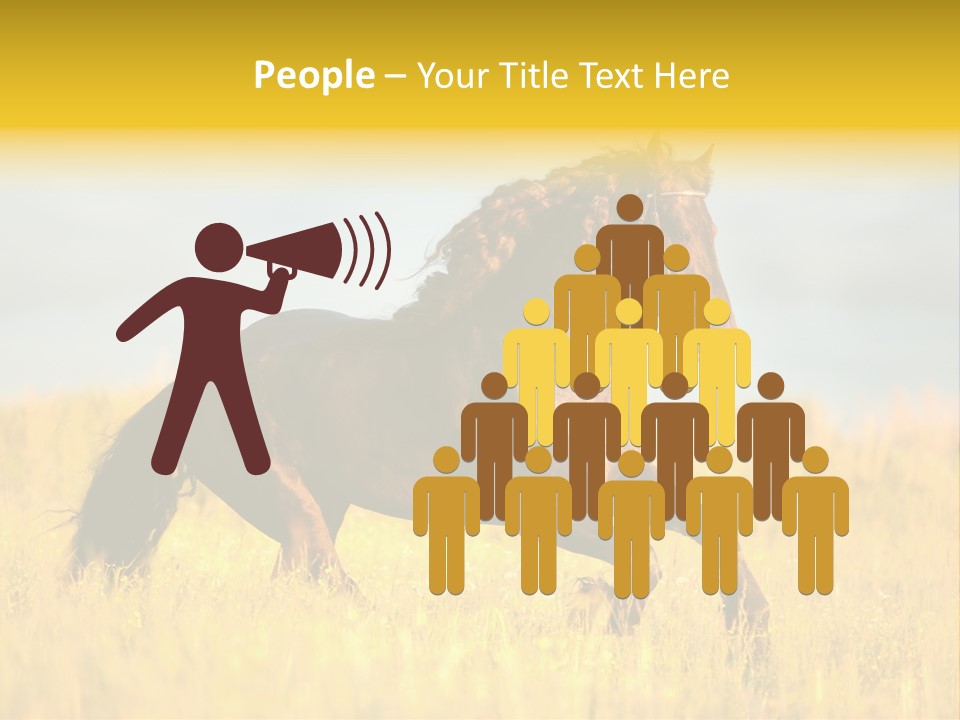 Beautiful Horse PowerPoint Template