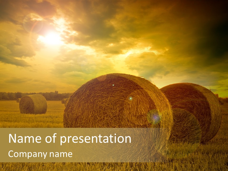 Make Hay While The Sun Shines PowerPoint Template