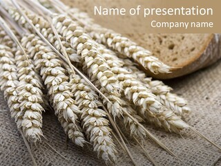 Brown Nutrition Bread PowerPoint Template