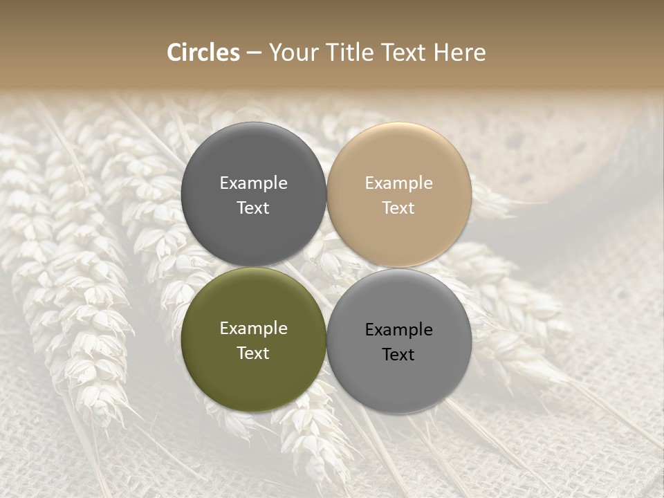 Brown Nutrition Bread PowerPoint Template