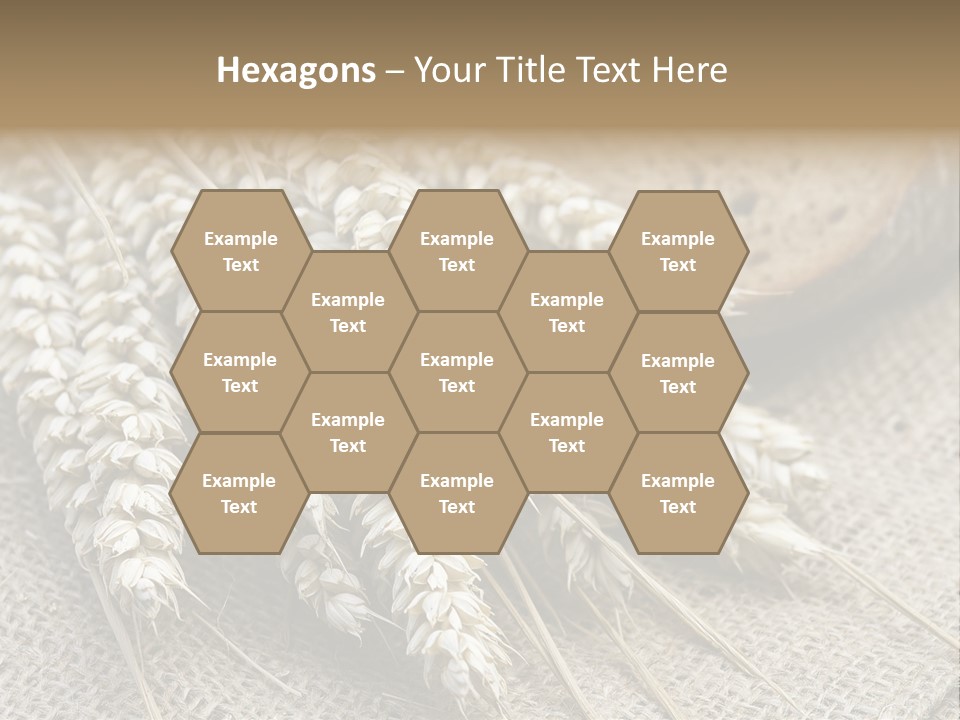 Brown Nutrition Bread PowerPoint Template