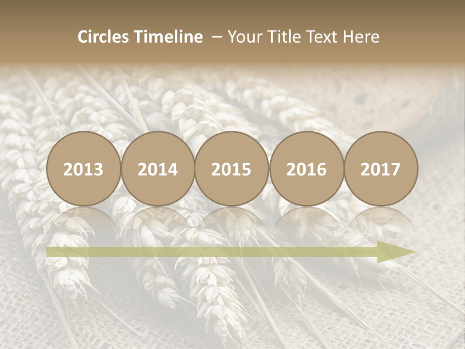 Brown Nutrition Bread PowerPoint Template