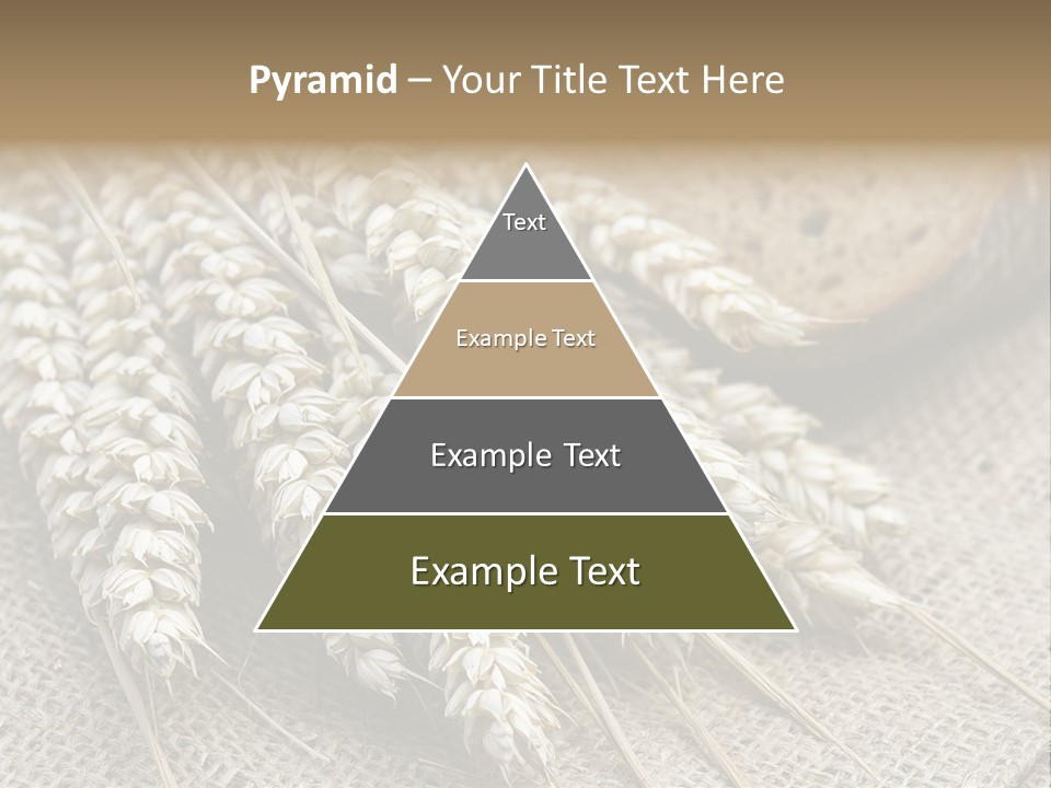 Brown Nutrition Bread PowerPoint Template