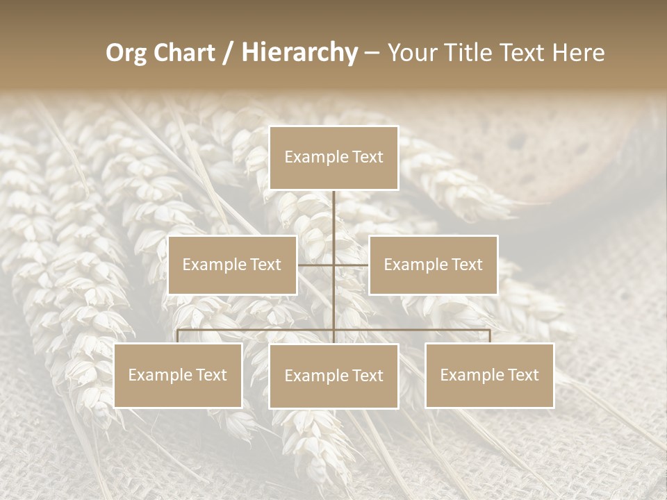Brown Nutrition Bread PowerPoint Template