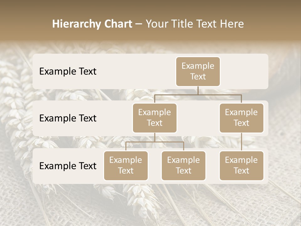 Brown Nutrition Bread PowerPoint Template