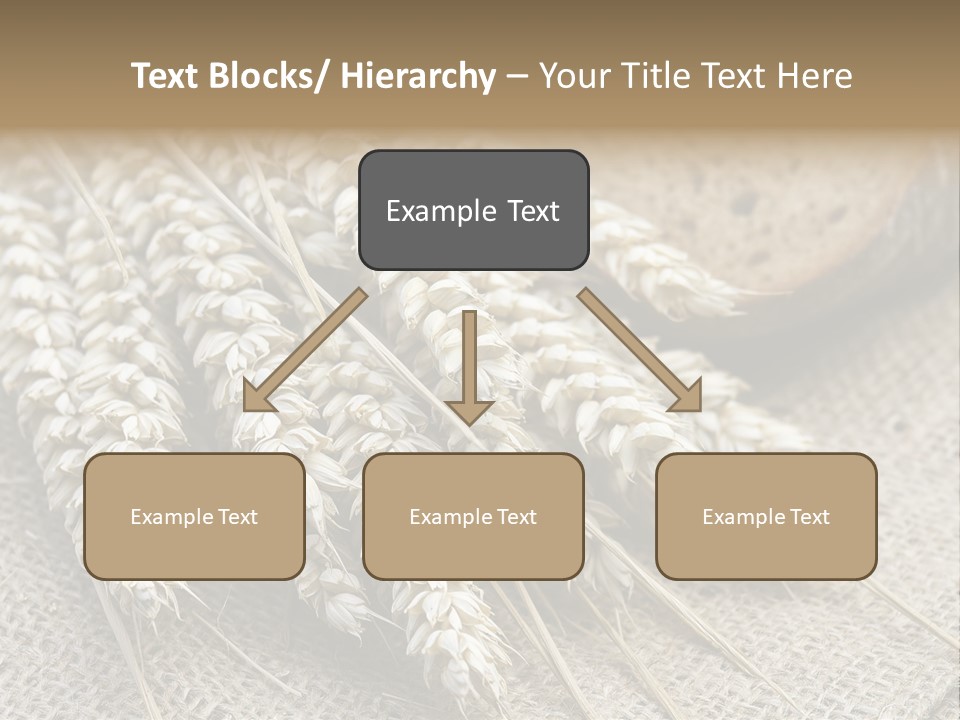 Brown Nutrition Bread PowerPoint Template