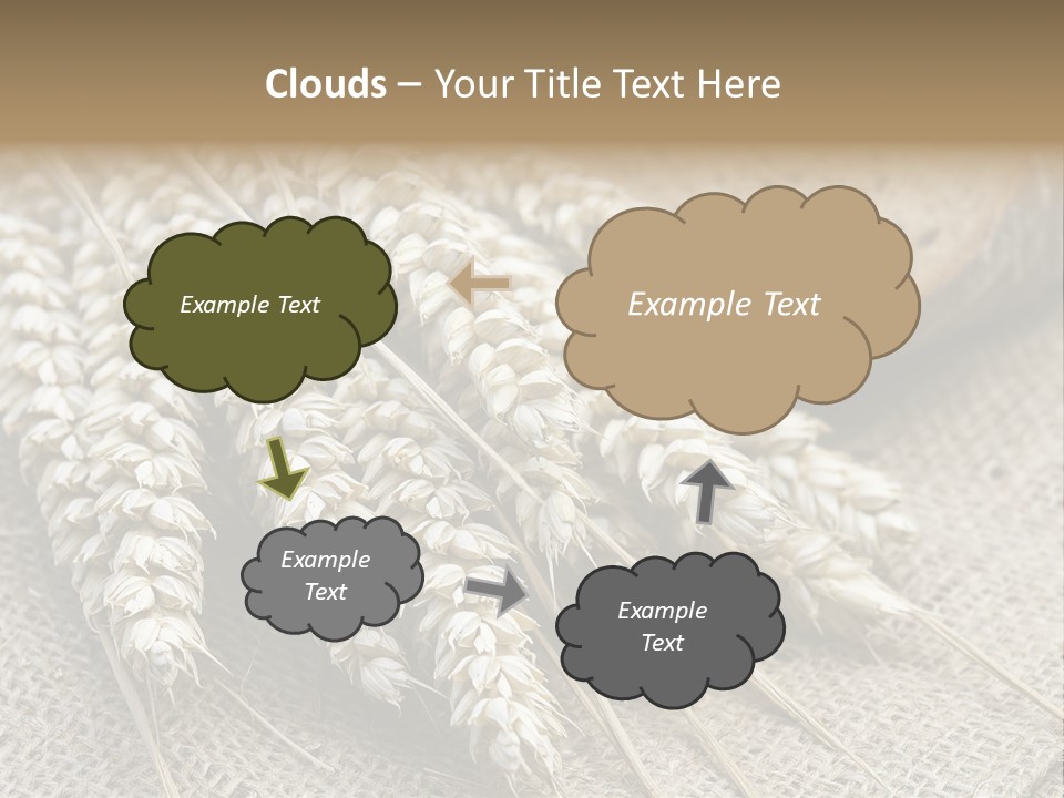 Brown Nutrition Bread PowerPoint Template