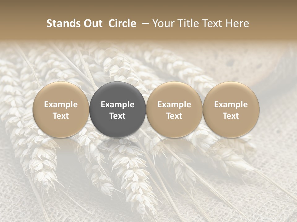 Brown Nutrition Bread PowerPoint Template