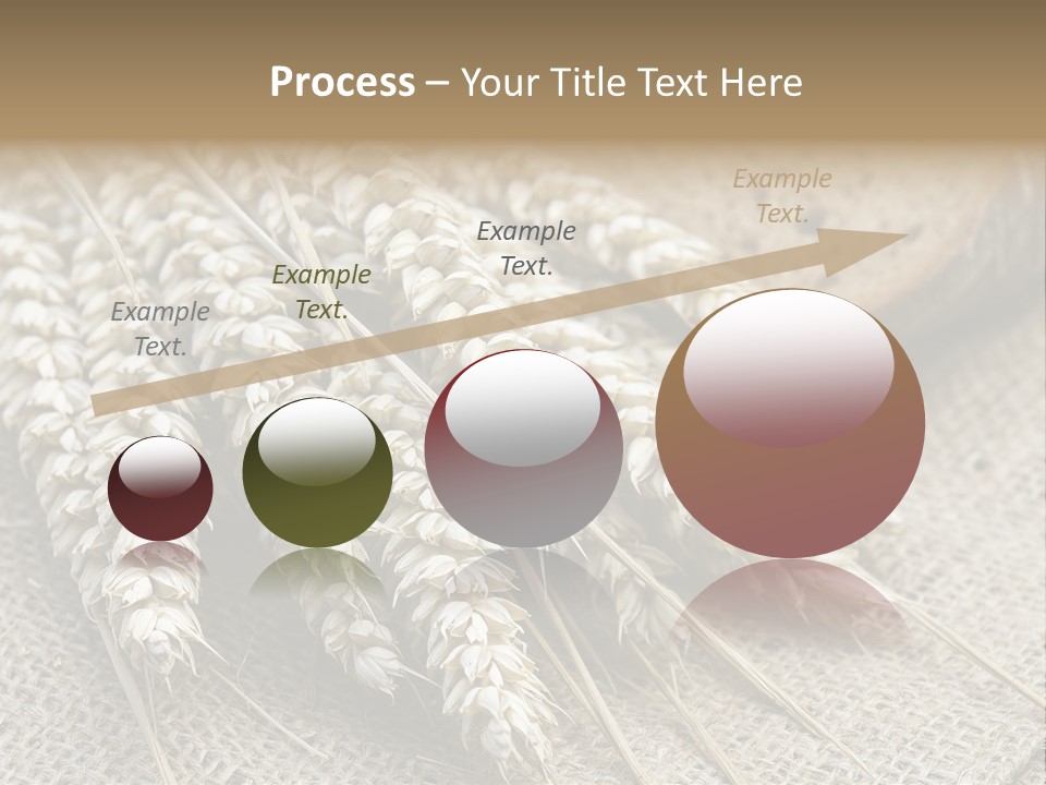 Brown Nutrition Bread PowerPoint Template