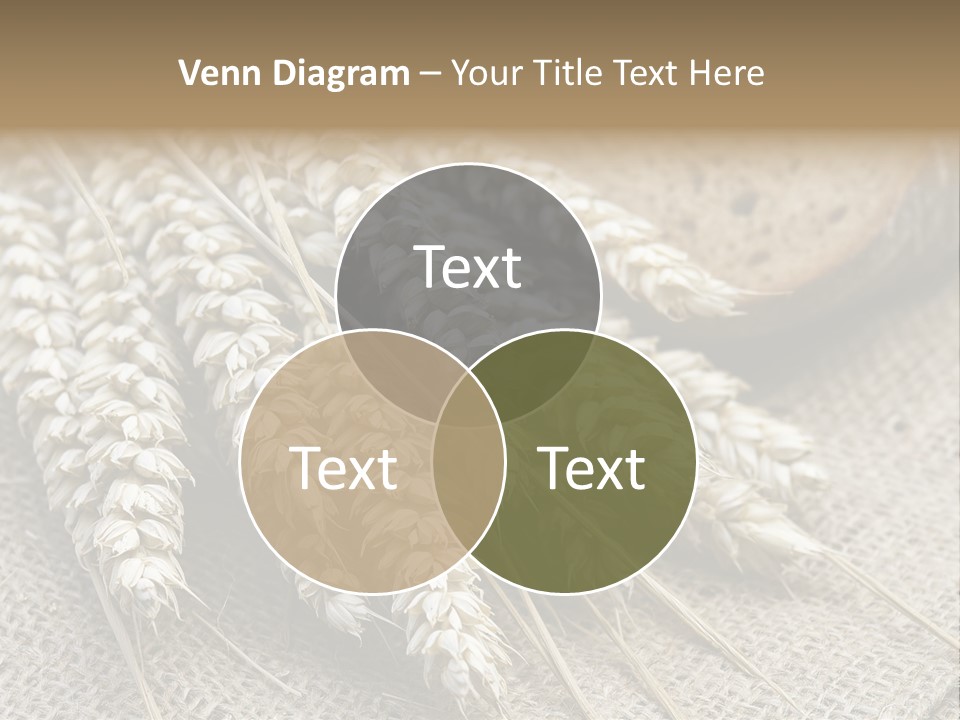 Brown Nutrition Bread PowerPoint Template