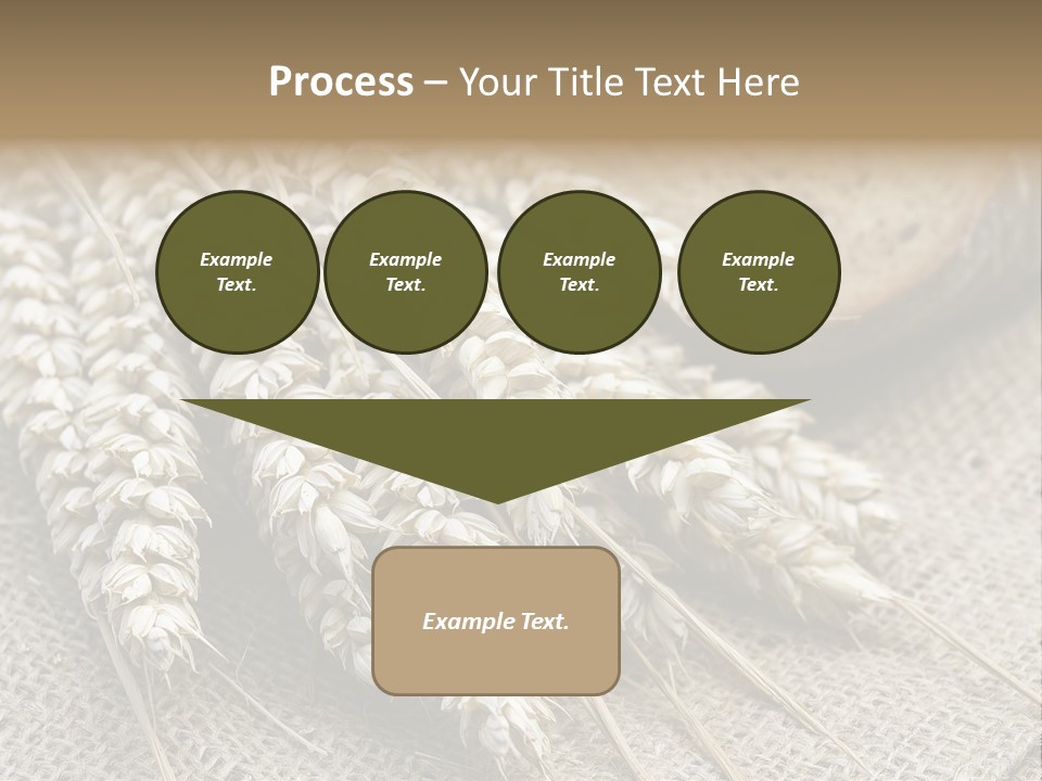 Brown Nutrition Bread PowerPoint Template