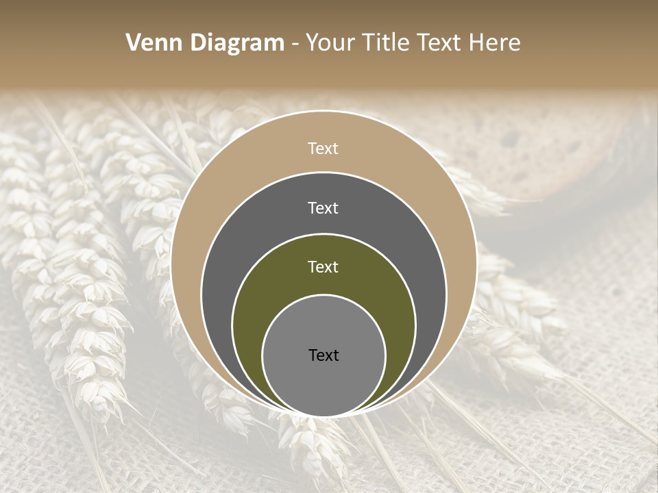 Brown Nutrition Bread PowerPoint Template