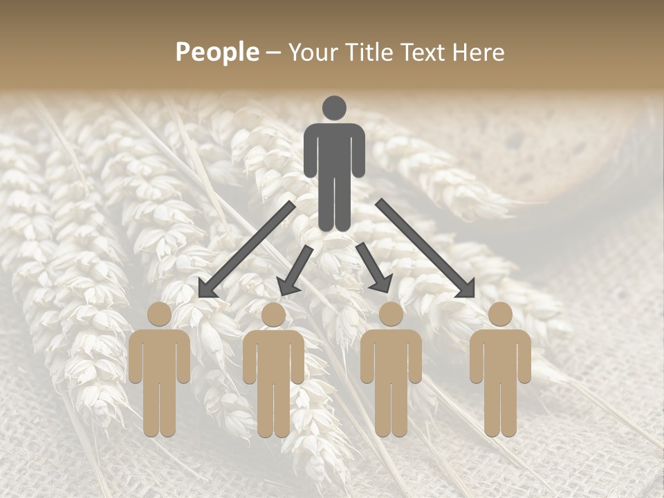 Brown Nutrition Bread PowerPoint Template