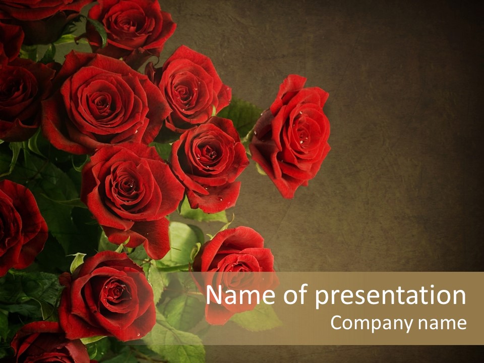 Red Roses PowerPoint Template