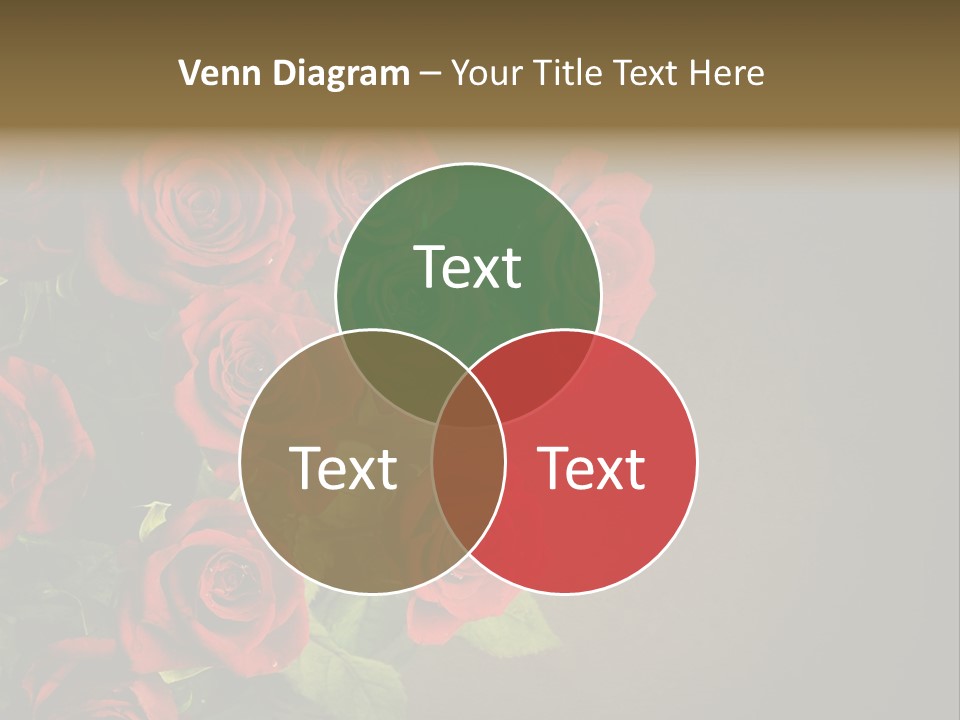 Red Roses PowerPoint Template