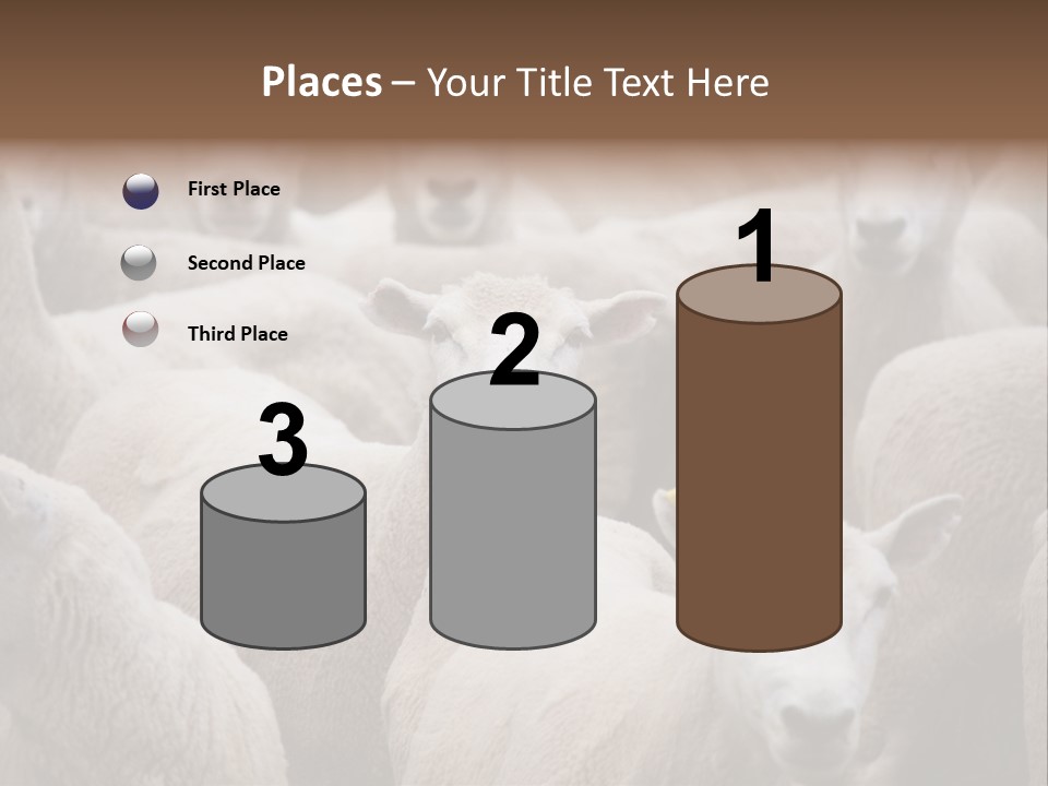 Herd Of Sheep PowerPoint Template