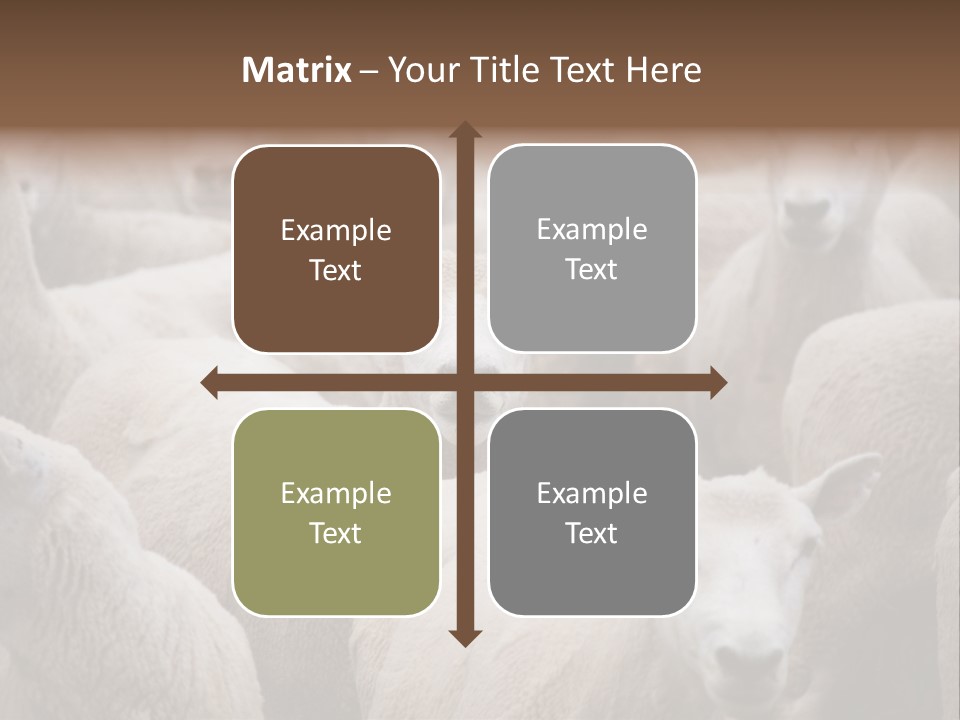 Herd Of Sheep PowerPoint Template