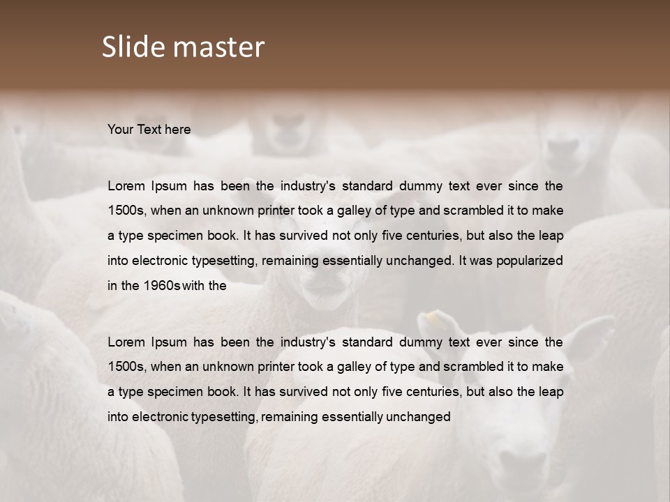 Herd Of Sheep PowerPoint Template