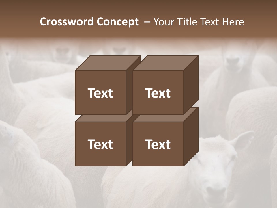 Herd Of Sheep PowerPoint Template