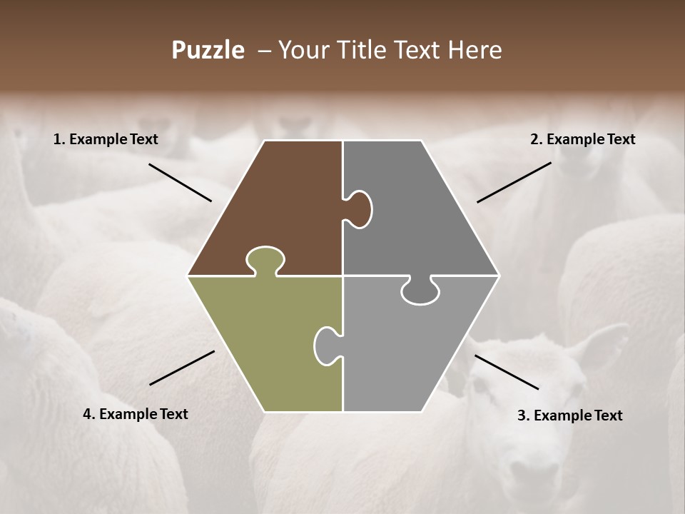 Herd Of Sheep PowerPoint Template