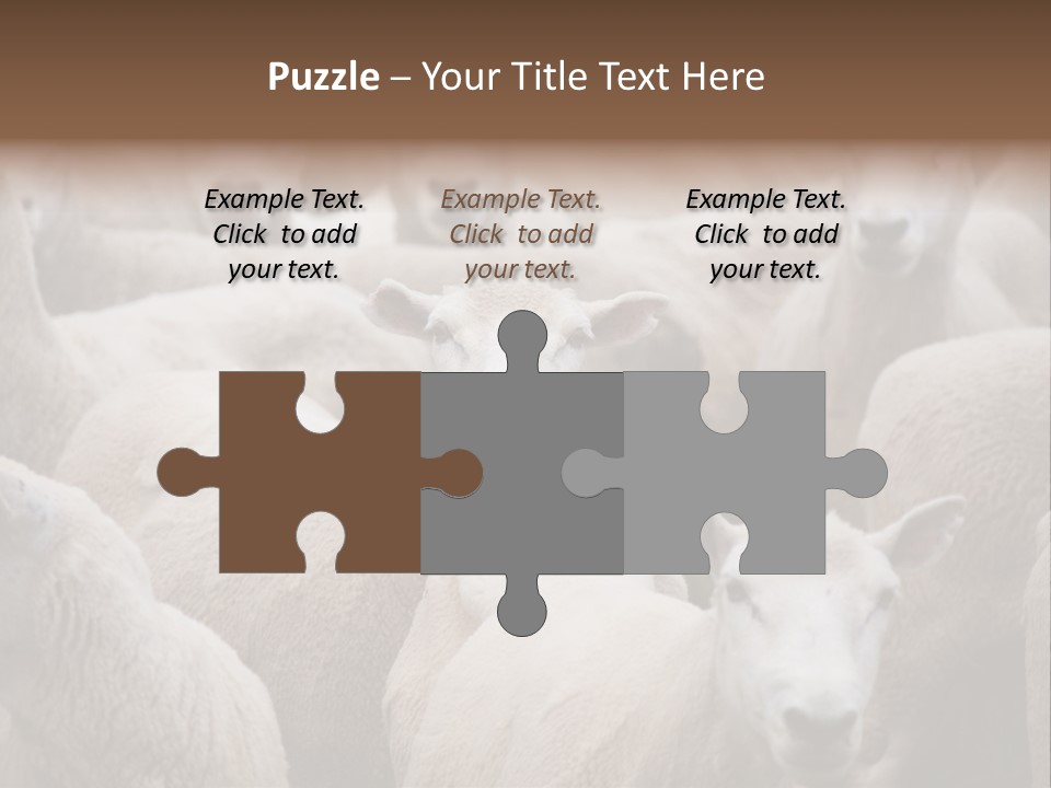 Herd Of Sheep PowerPoint Template